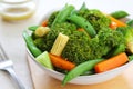 Broccoli salad with carrot ,baby corn and snap pea