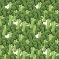 Broccoli seamless pattern.