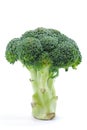Broccoli Series 01 Royalty Free Stock Photo