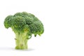Broccoli Series 01 Royalty Free Stock Photo