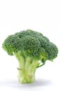 Broccoli Series 01 Royalty Free Stock Photo
