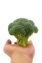 Broccoli Series 02 Royalty Free Stock Photo