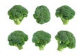 Broccoli set isolated on a white background. Fresh broccoli collection. Healthy vegetables close up Royalty Free Stock Photo