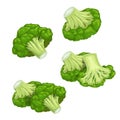 Broccoli set. Single and group, whole and cut. Farm fresh eco and healthy vegetables collection. Vector illustrations Royalty Free Stock Photo