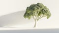 Broccoli shaped tree sculpture on a plain Royalty Free Stock Photo