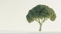 Broccoli Shaped Tree Stands On A Clean Ground Royalty Free Stock Photo