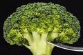 Broccoli on a silver fork. Vegetable black background isolated.Concept and diet concept, weight loss, healthy eating, macro