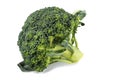 Broccoli sprout isolated over white