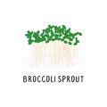 broccoli sprout vector flat illustration, isolated on white background Royalty Free Stock Photo