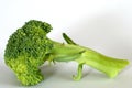 Broccoli Stalk Royalty Free Stock Photo