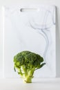 A broccoli stalk standing in front of a cutting board. Royalty Free Stock Photo