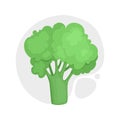 Broccoli with stalks and tops. Composition with brocoli with lush heads and stems. Cartoon realistic style. Fresh