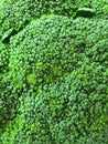 Broccoli textur ,close up Royalty Free Stock Photo