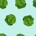 Broccoli top view, seamless pattern of repeated heads of the cabbage family plant. Isolated vector background image.