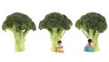 Broccoli tree