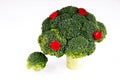 Broccoli tree Royalty Free Stock Photo