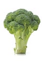 Broccoli vegetable