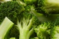 Broccoli vegetable