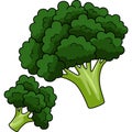 Broccoli Vegetable Cartoon Colored Clipart