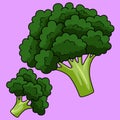 Broccoli Vegetable Colored Cartoon Illustration