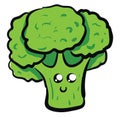 Image of cute broccoli - broccoli, vector or color illustration