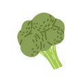 Broccoli vegetable in doodle style. Brocolli icon. Green brocoli food. Healthy natural cabbage tree. Flat vector