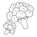 Broccoli Vegetable Isolated Coloring Page for Kids