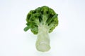 Broccoli vegetable isolated on white background Royalty Free Stock Photo