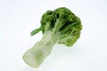Broccoli vegetable isolated on white background Royalty Free Stock Photo