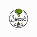 Broccoli vegetable logo. Round linear of broccoli