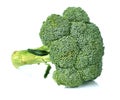 Broccoli vegetable on white background.