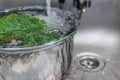 Broccoli washing water rinse in the kitchen sink