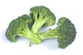 Broccoli on white Royalty Free Stock Photo