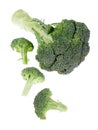 Broccoli on white Royalty Free Stock Photo