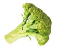 Broccoli on white background Royalty Free Stock Photo