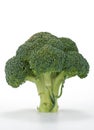 Broccoli on white background Royalty Free Stock Photo