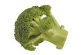 Broccoli on a white background Royalty Free Stock Photo