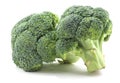 Broccoli on White Royalty Free Stock Photo