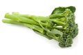 broccolini baby broccoli isolated