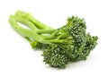 broccolini baby broccoli isolated Royalty Free Stock Photo