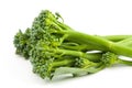 broccolini baby broccoli isolated Royalty Free Stock Photo