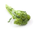 Broccolini baby broccoli isolated Royalty Free Stock Photo