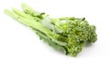 broccolini baby broccoli isolated Royalty Free Stock Photo