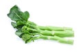 Broccolini baby broccoli isolated on white background Royalty Free Stock Photo