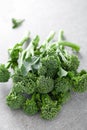 Broccolini. Fresh bunch of broccoli sprouts on a cooking table. Healthy food concept