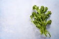 Broccolini fresh organic broccoli florets green vegetable baby broccoli, vegan raw healthy superfood on a light blue food