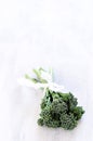 Broccolini on white rustic background Royalty Free Stock Photo