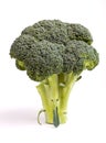 Broccolli Royalty Free Stock Photo