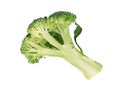Broccolli Royalty Free Stock Photo
