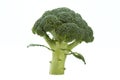 Broccolli Royalty Free Stock Photo